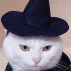 Meet your Posher, Grace